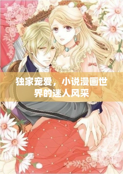 独家宠爱，小说漫画世界的迷人风采