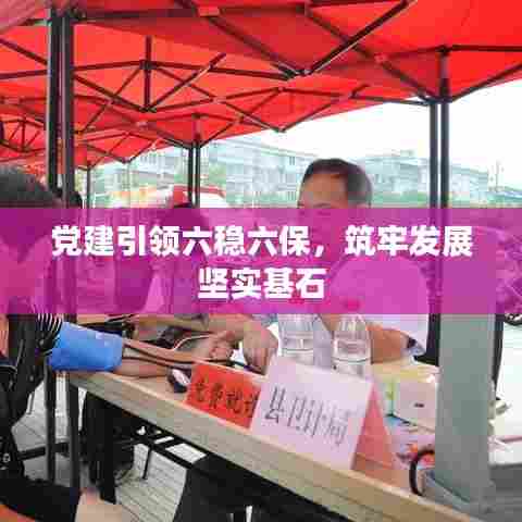 党建引领六稳六保，筑牢发展坚实基石