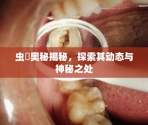 虫歯奥秘揭秘，探索其动态与神秘之处
