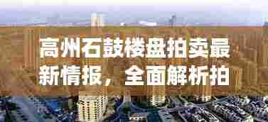 高州石鼓楼盘拍卖最新情报，全面解析拍卖信息，不容错过！