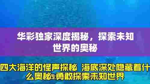华彩独家深度揭秘，探索未知世界的奥秘