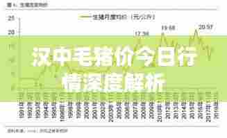 汉中毛猪价今日行情深度解析