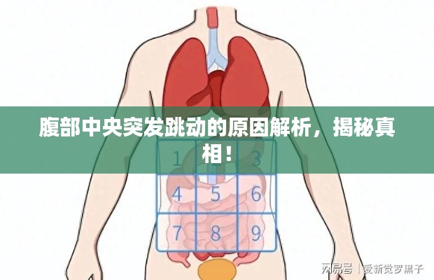 腹部中央突发跳动的原因解析，揭秘真相！