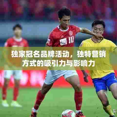 独家冠名品牌活动，独特营销方式的吸引力与影响力