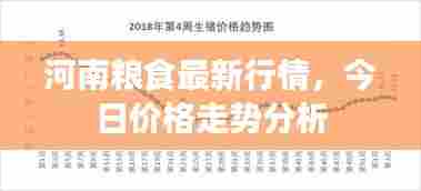 河南粮食最新行情，今日价格走势分析