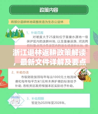 浙江退林返耕政策解读，最新文件详解及要点分析