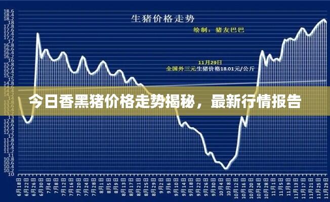 今日香黑猪价格走势揭秘，最新行情报告