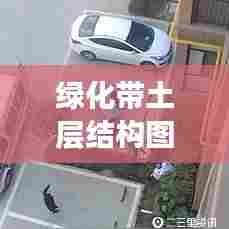 绿化带土层结构图深度解析与研究报告