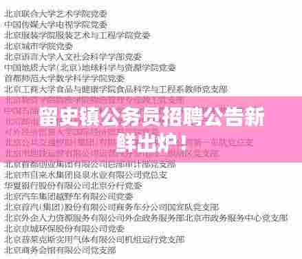 留史镇公务员招聘公告新鲜出炉！
