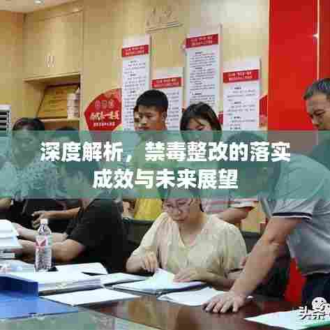 深度解析，禁毒整改的落实成效与未来展望