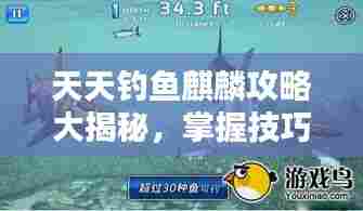 天天钓鱼麒麟攻略大揭秘，掌握技巧，轻松钓得鱼王之王——麒麟鱼王