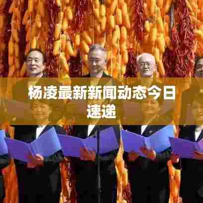杨凌最新新闻动态今日速递