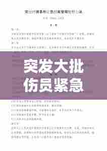 突发大批伤员紧急预案，应对策略与措施
