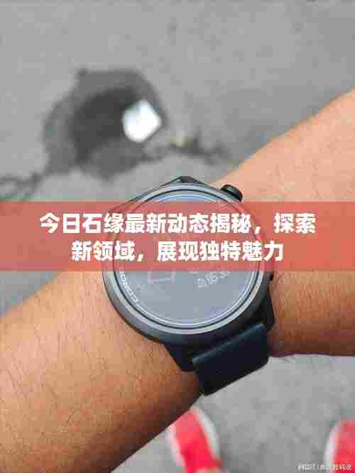 今日石缘最新动态揭秘，探索新领域，展现独特魅力