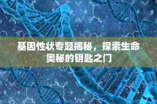 基因性状专题揭秘，探索生命奥秘的钥匙之门