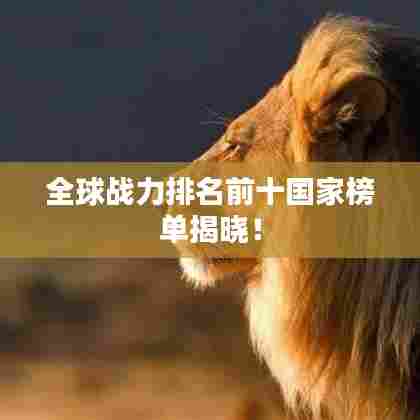全球战力排名前十国家榜单揭晓！