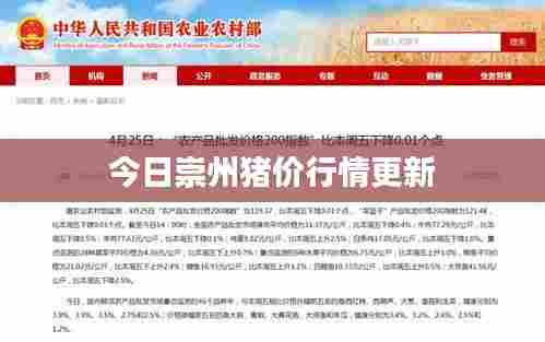 今日崇州猪价行情更新