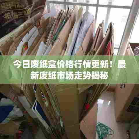 今日废纸盒价格行情更新！最新废纸市场走势揭秘
