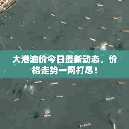 大港油价今日最新动态，价格走势一网打尽！