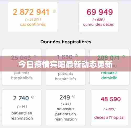 今日疫情宾阳最新动态更新