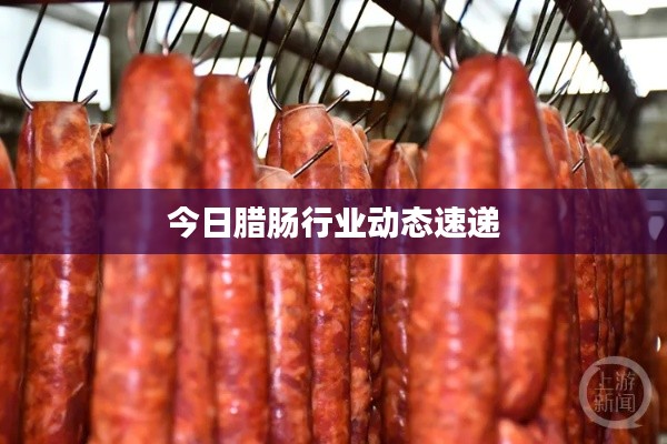 今日腊肠行业动态速递