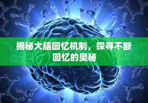 揭秘大脑回忆机制，探寻不断回忆的奥秘