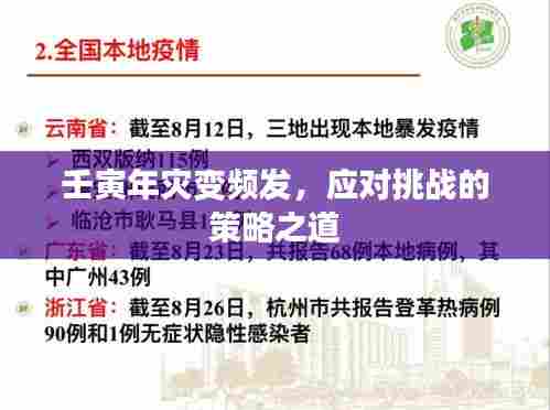 壬寅年灾变频发，应对挑战的策略之道