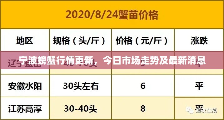 宁波螃蟹行情更新，今日市场走势及最新消息