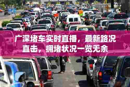 广深堵车实时直播，最新路况直击，拥堵状况一览无余