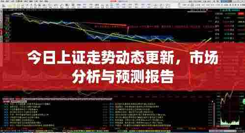 今日上证走势动态更新，市场分析与预测报告