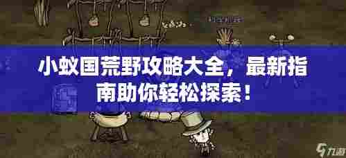 小蚁国荒野攻略大全，最新指南助你轻松探索！