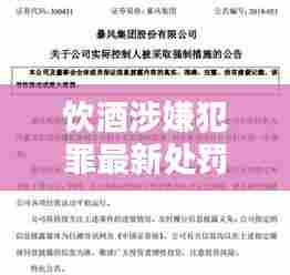 饮酒涉嫌犯罪最新处罚规定解析