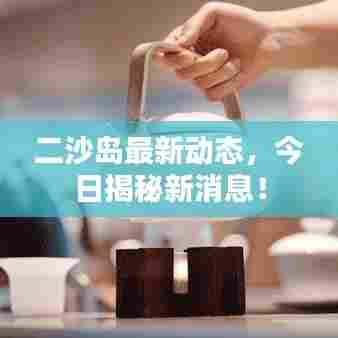 二沙岛最新动态，今日揭秘新消息！
