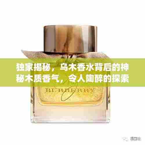 独家揭秘，乌木香水背后的神秘木质香气，令人陶醉的探索之旅