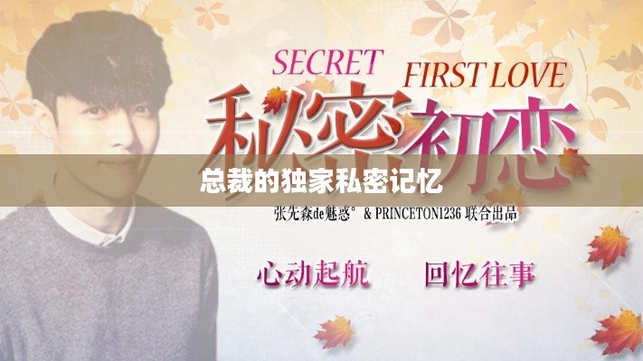 总裁的独家私密记忆