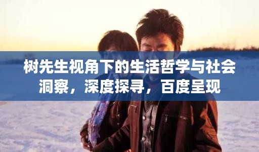 树先生视角下的生活哲学与社会洞察，深度探寻，百度呈现