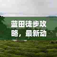 蓝田徒步攻略，最新动态，带你领略自然魅力之旅
