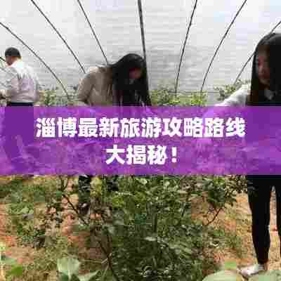 草草收兵 第5页