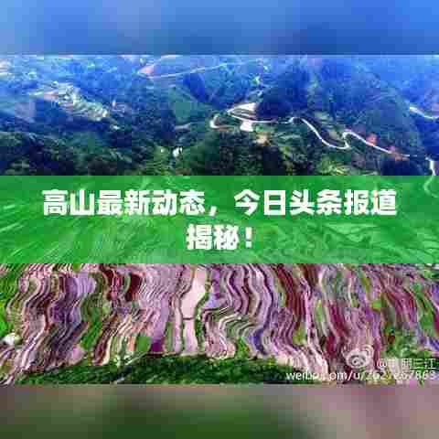 高山最新动态，今日头条报道揭秘！