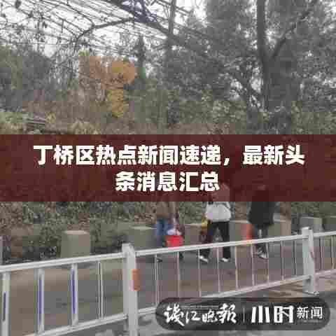 丁桥区热点新闻速递，最新头条消息汇总