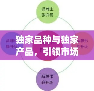 独家品种与独家产品，引领市场潮流的独家力量