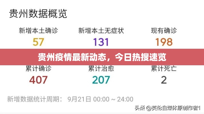 贵州疫情最新动态，今日热搜速览