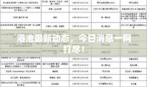 港池最新动态，今日消息一网打尽！