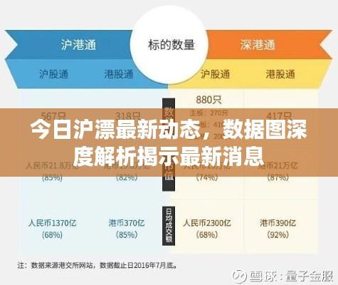 今日沪漂最新动态，数据图深度解析揭示最新消息