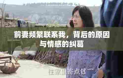 前妻频繁联系我，背后的原因与情感的纠葛