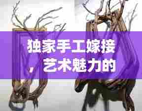 独家手工嫁接，艺术魅力的独特展现