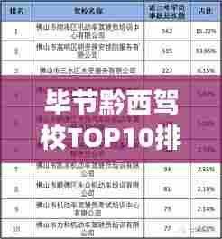 毕节黔西驾校TOP10排名揭晓，优质驾驶培训的标杆之选