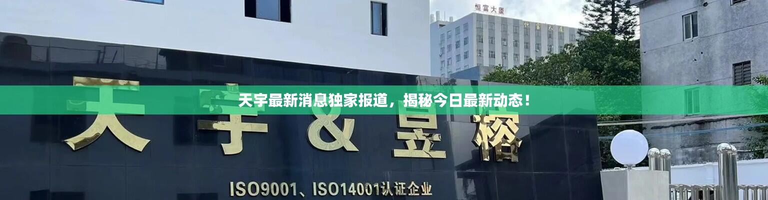 天宇最新消息独家报道，揭秘今日最新动态！
