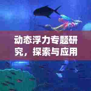动态浮力专题研究，探索与应用之旅