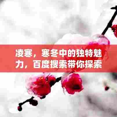 草率收兵 第6页